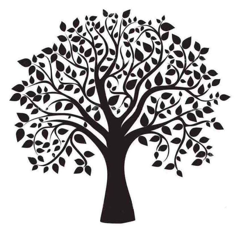 Ginkgo di San Sebastiano Po