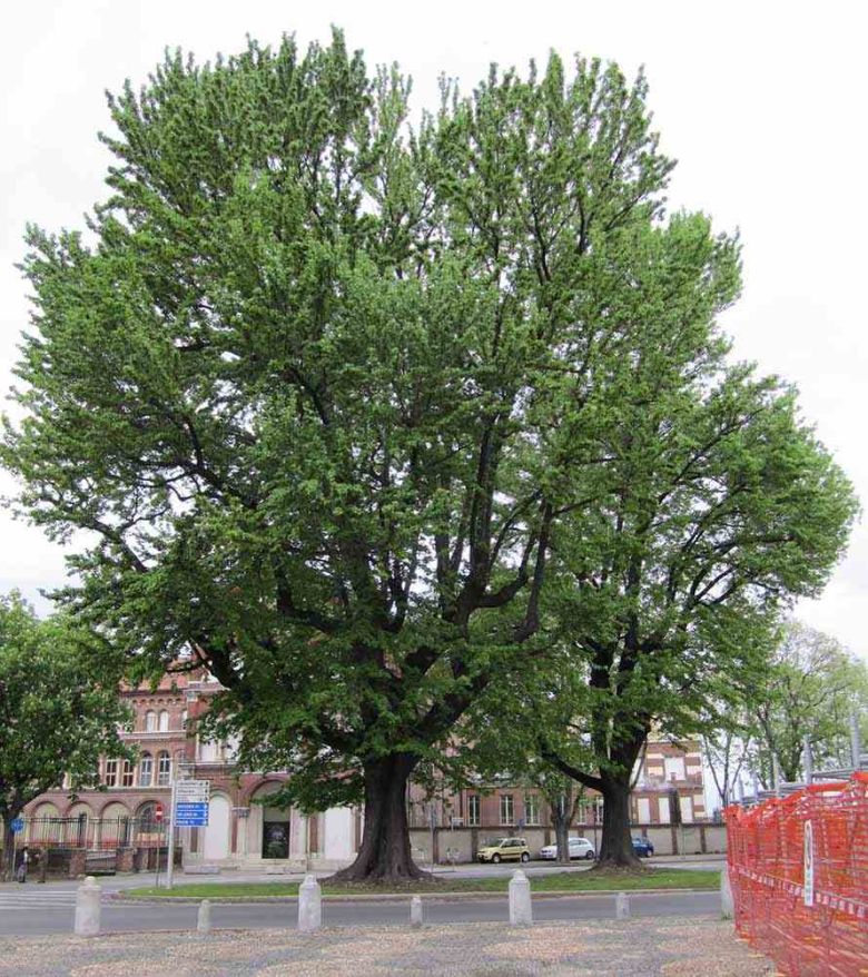 Storace Sant'Eusebio