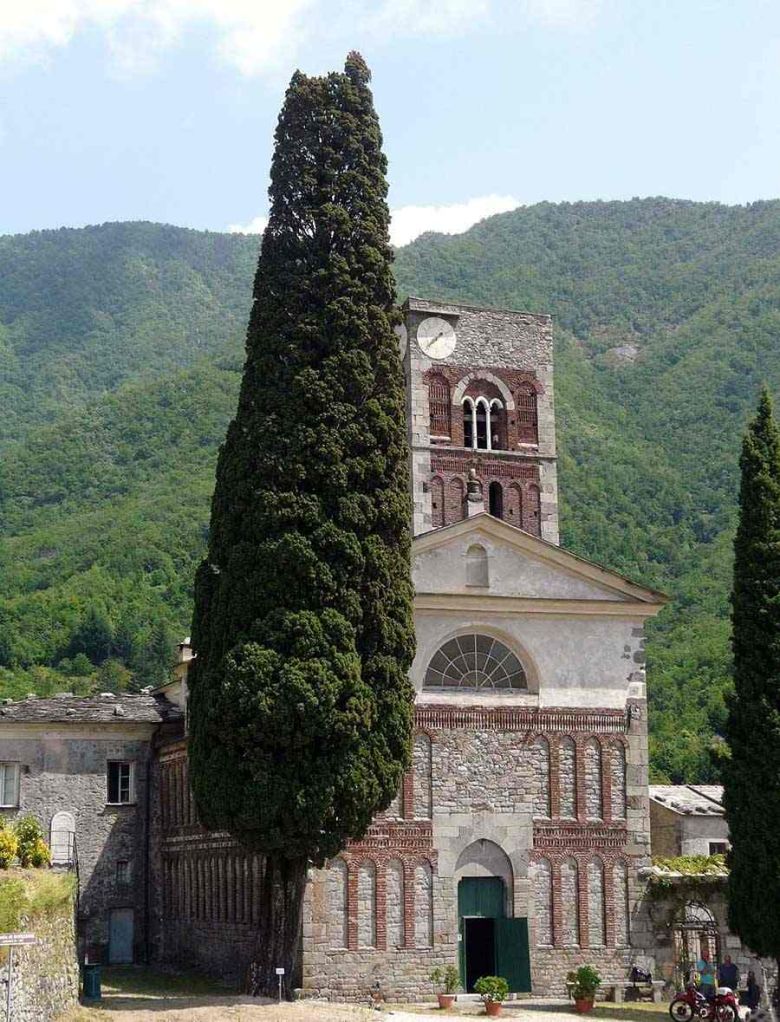 Cipresso di Borzone