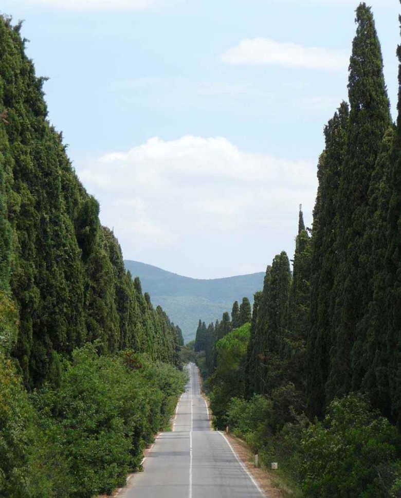 Viale dei Cipressi di Bolgheri